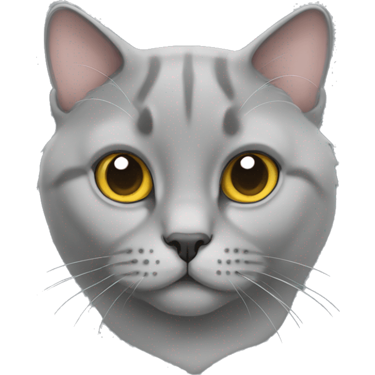 gray fold british cat emoji