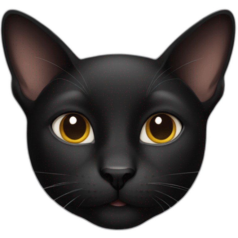 French black cat emoji