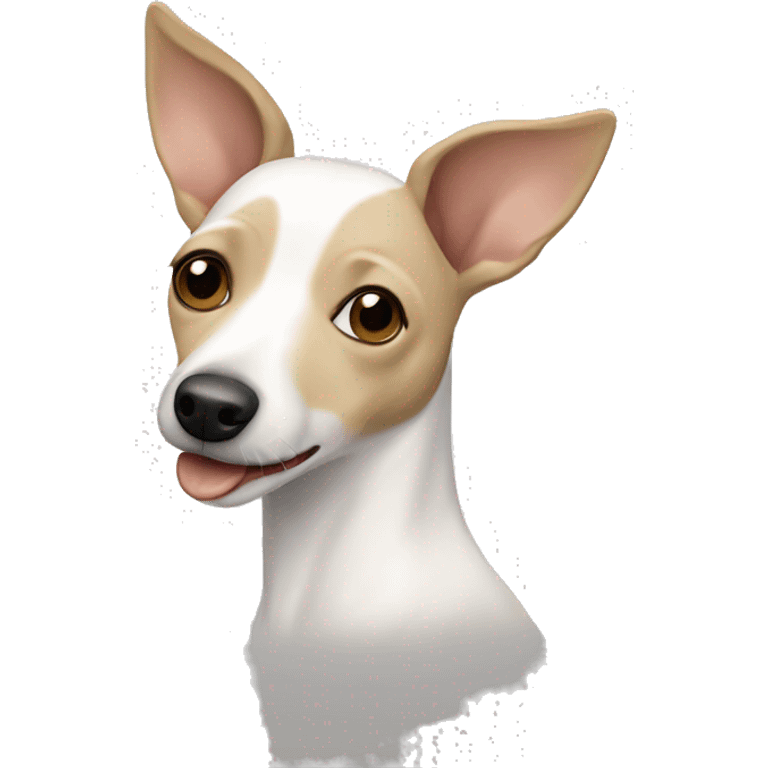 White and beige rat terrier emoji