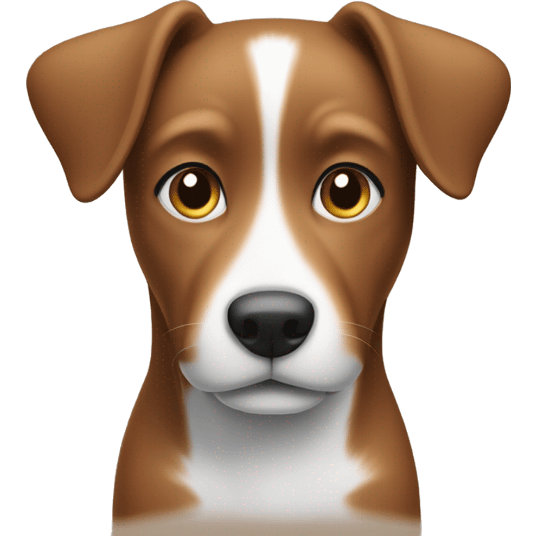 Brown dog with white paws, tip of tail, chest and midline of face  emoji