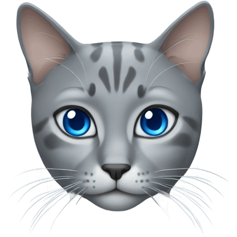 Gray cat with blue eyes emoji