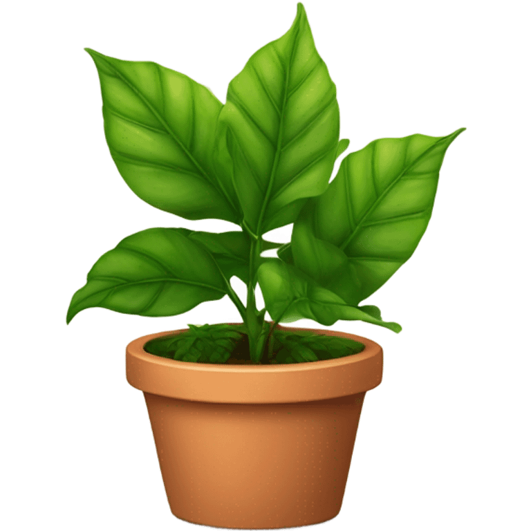 A green plant in a pot emoji