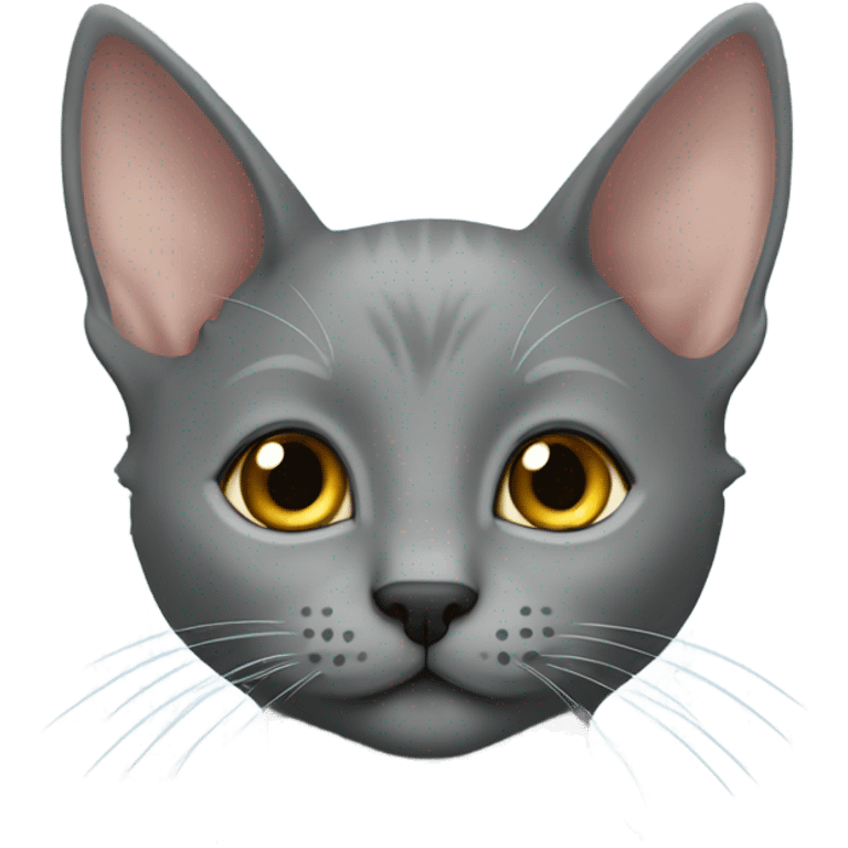 grey korat kitten with a fur mohawk on nose emoji