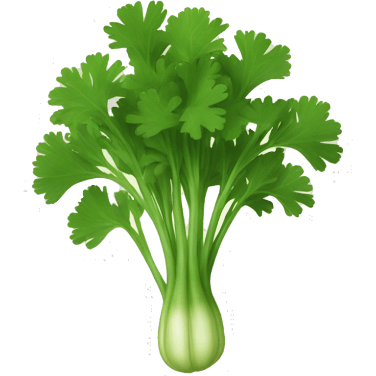 Cilantro emoji