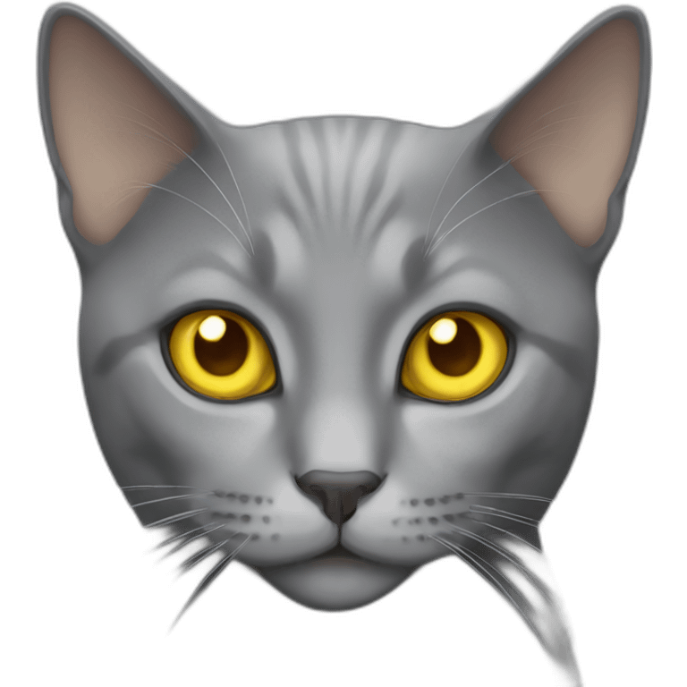 grey cat yellow eyes emoji