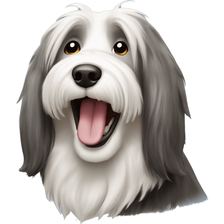 Bearded collie sit and laughing  emoji