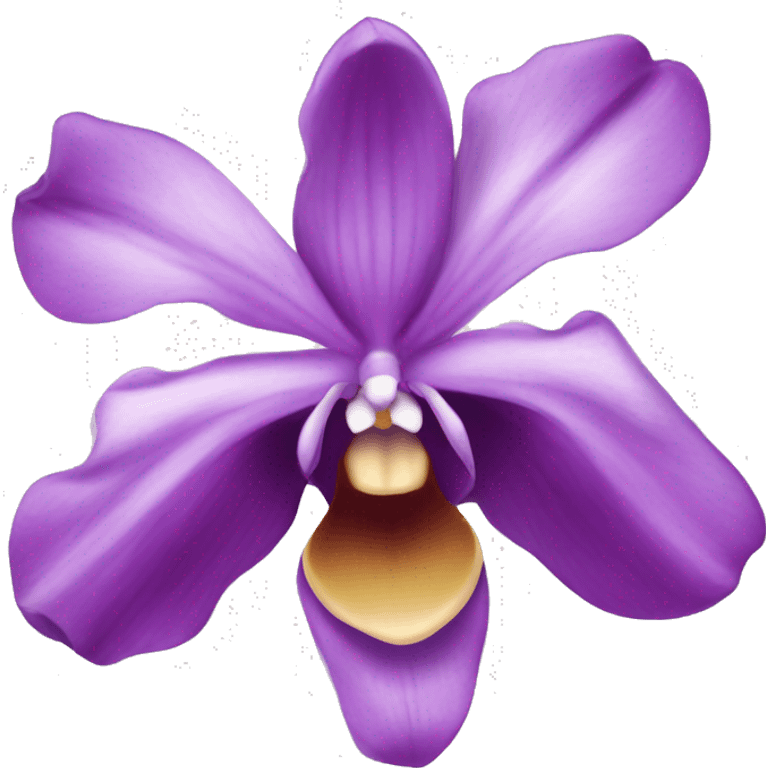 purple orchidea emoji