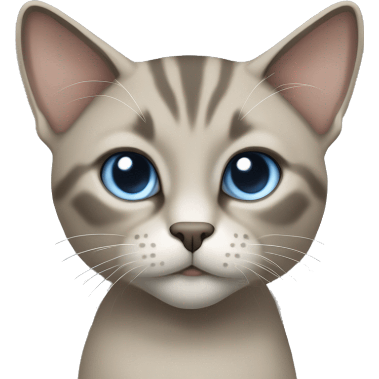 Thai breed cat with a light cream-brown body, dark gray face, ears, and paws. Short fur, sharp ears, and striking light blue eyes with an intense gaze. emoji