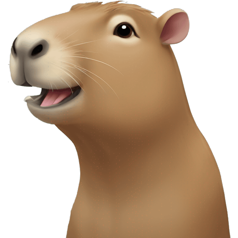 capybara emoji