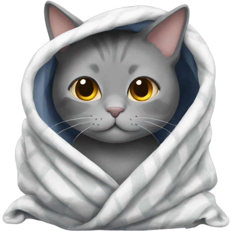 Grey cat in a blanket  emoji