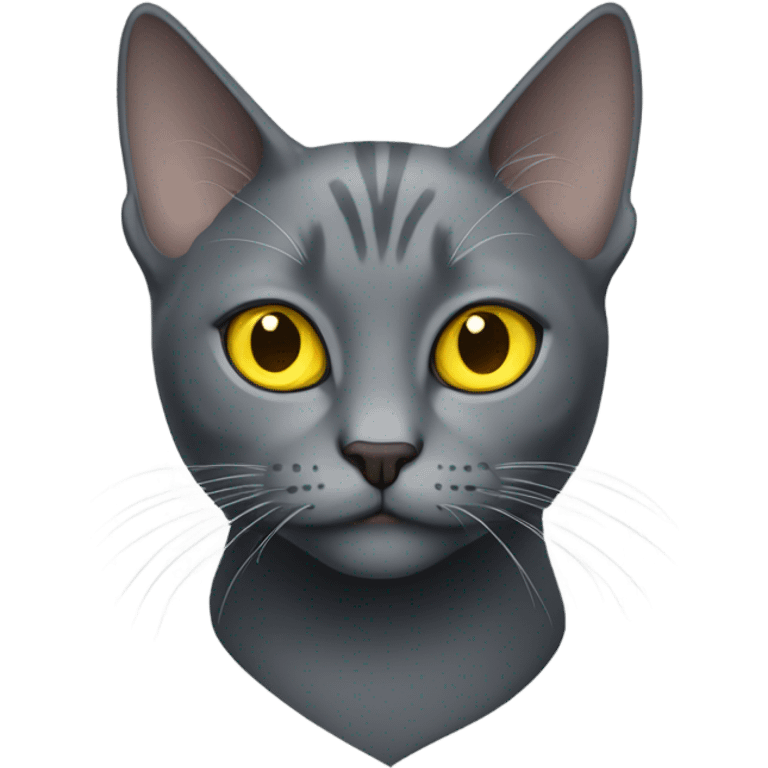 An all grey cat with yellow eyes  emoji