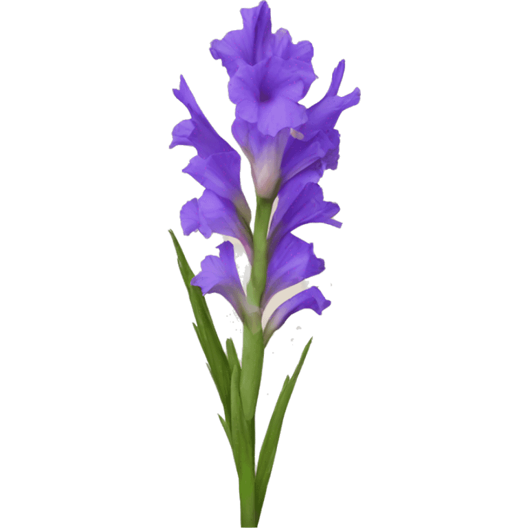 gladiolus  emoji