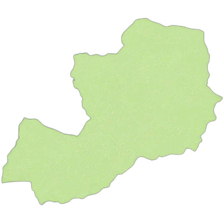 a green map of poland emoji