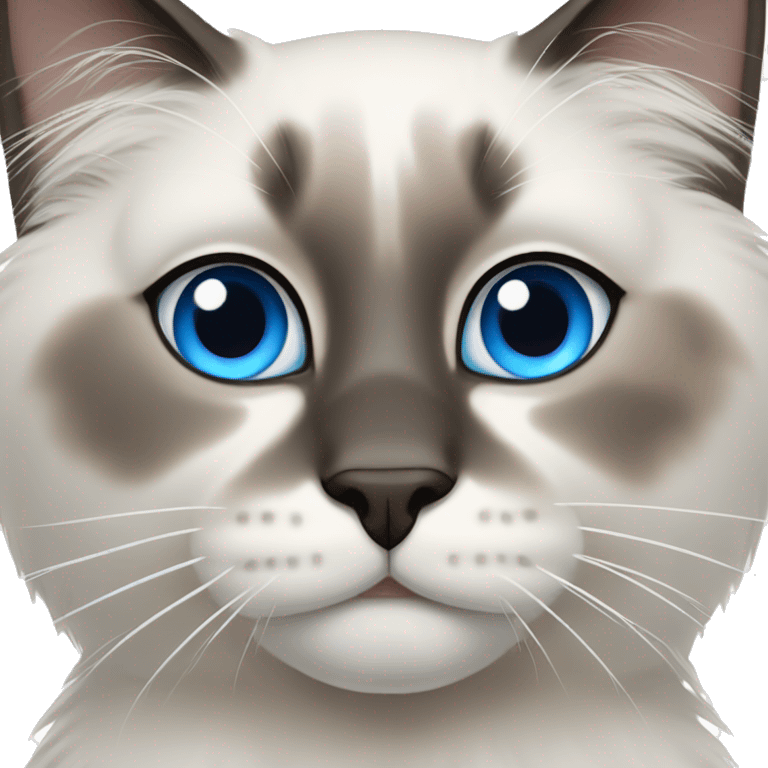 A ragdoll cat with blue eyes emoji