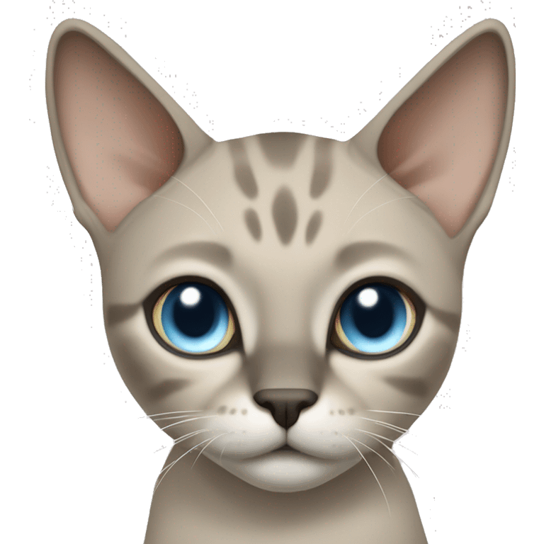 Thai breed adult cat with a light cream-brown body, dark gray nose and face, ears, and paws. sharp ears, and striking light blue eyes  emoji