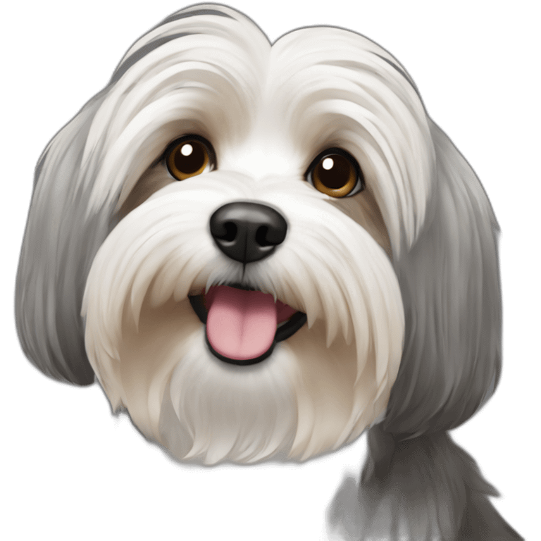 Havanese-tan-grey emoji