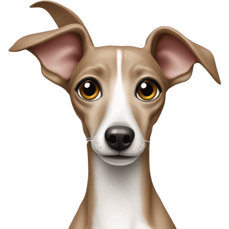 An italian greyhound waving emoji