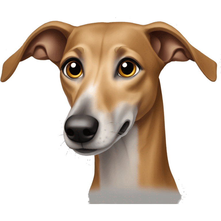 brown-light brown galgo ẽspanole  emoji