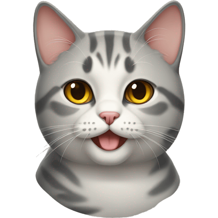 a british fold cat emoji