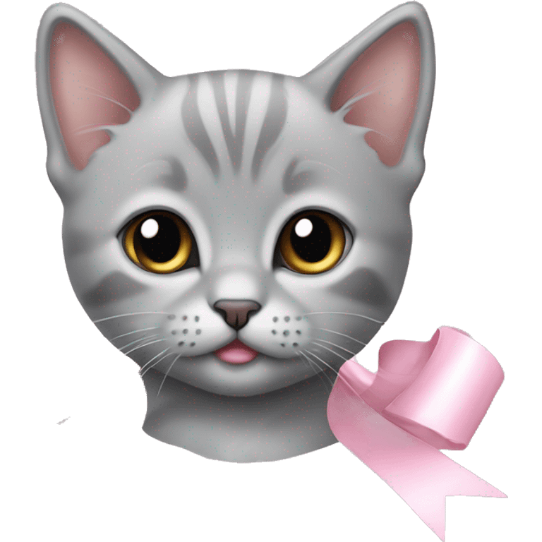 grey british kitten with a light pink ribbon  emoji