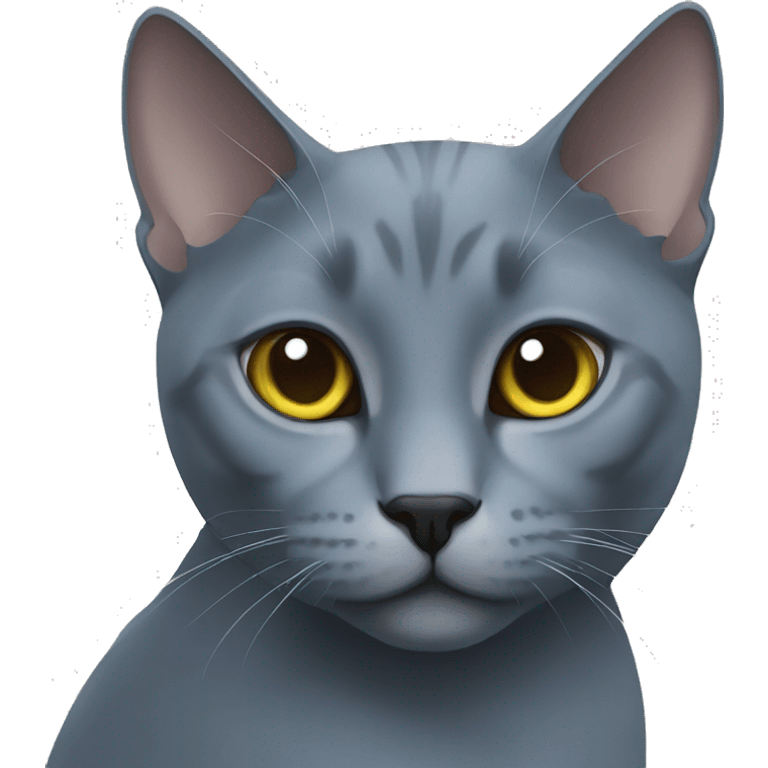 cat russian blue emoji