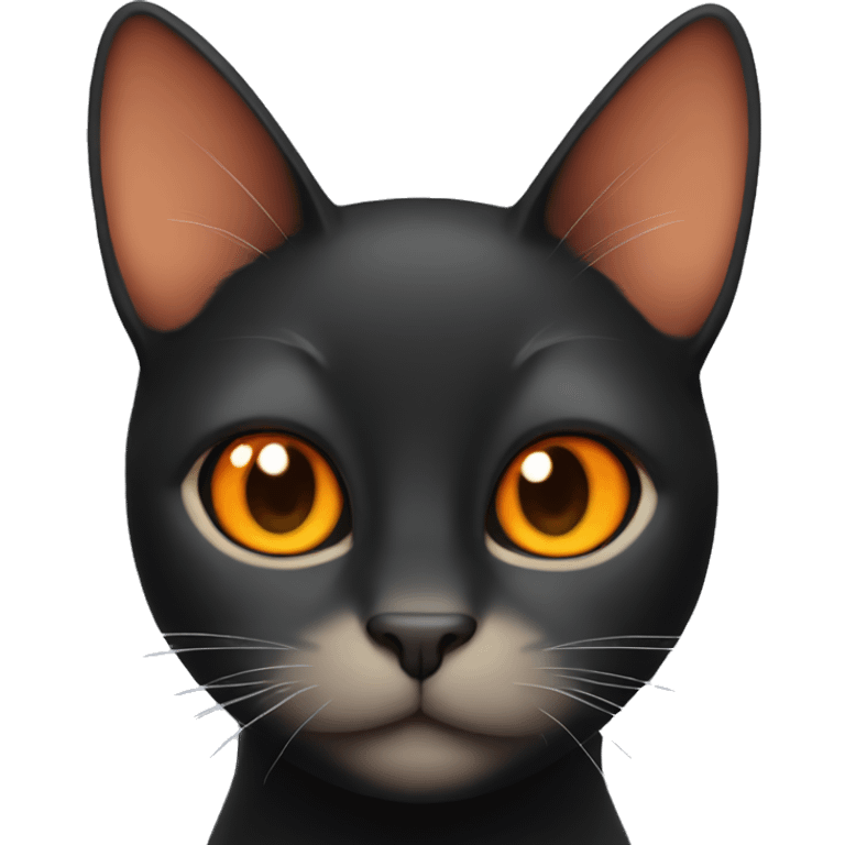 black cat with orange cat emoji