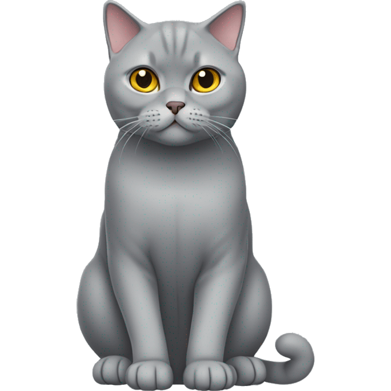 Grey British shorthair cat full body emoji