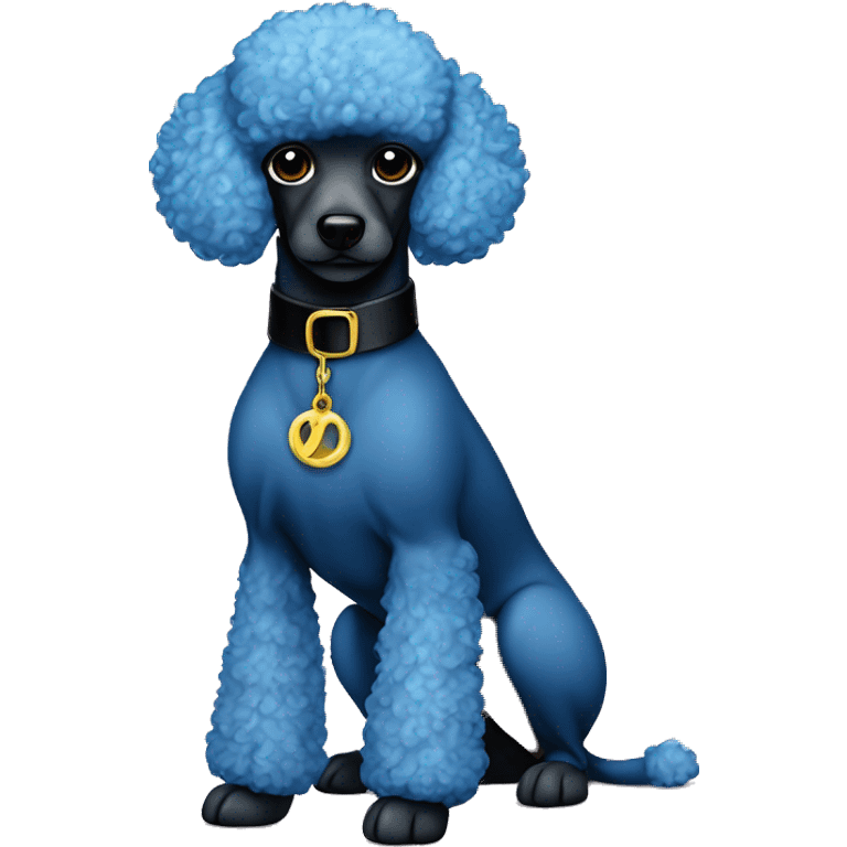 A blue miniature poodle that hasn’t really gone through the coat change yet. A shaved face with a black Versace collar emoji