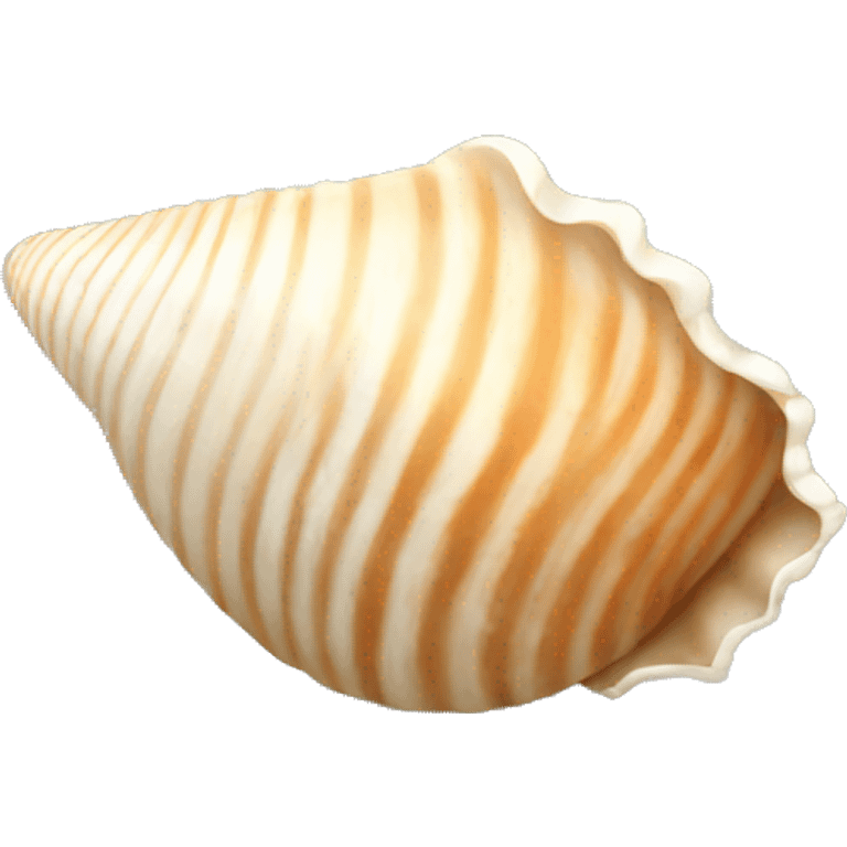 seashell emoji