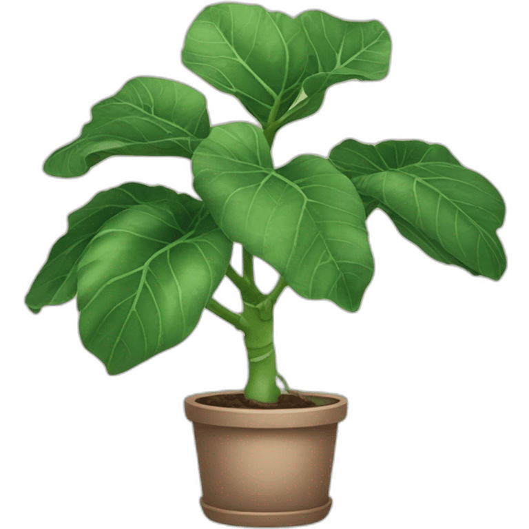 fiddle leaf fig emoji