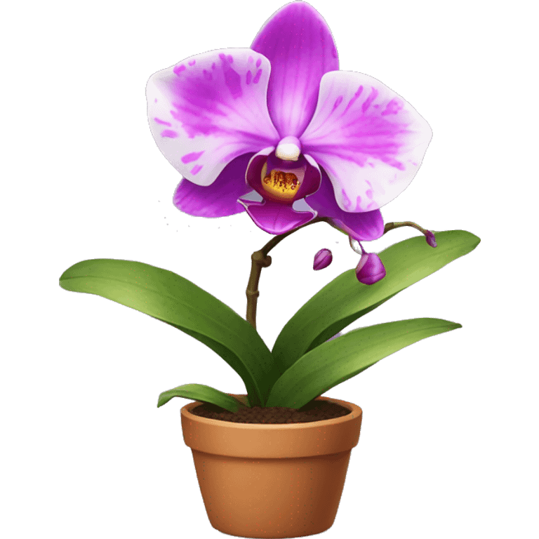 An orchid in a pot emoji