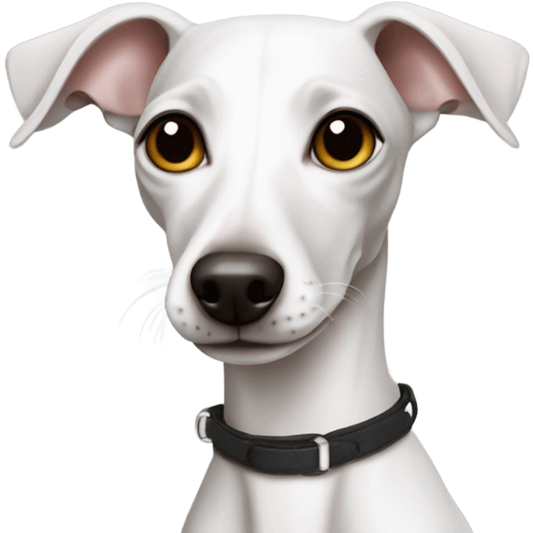 White Italian greyhound  emoji