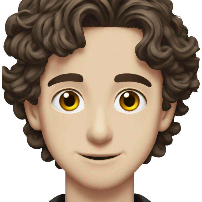 timothée chalamet  emoji