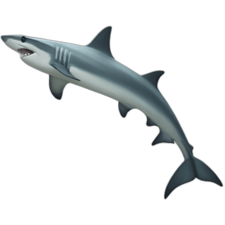 hammerhead shark emoji