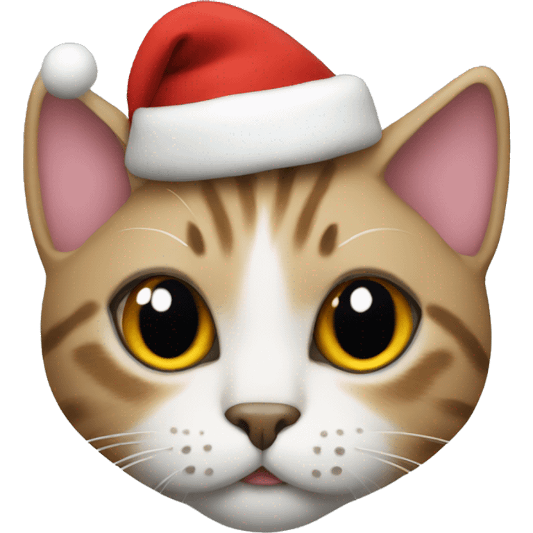 Cat with Christmas hat emoji