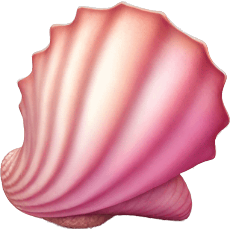 pink seashell  emoji