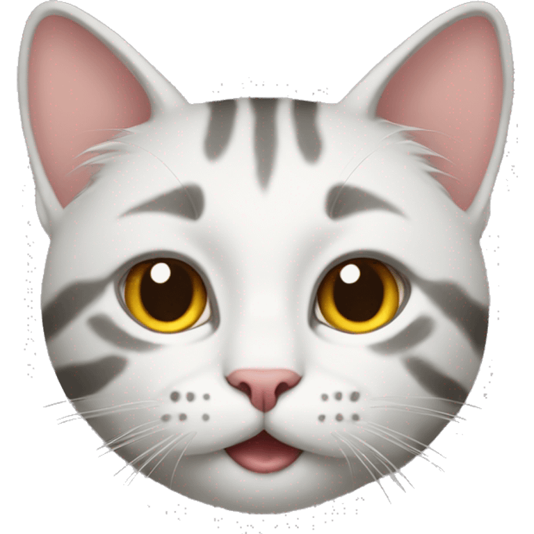 cat whit reat emoji