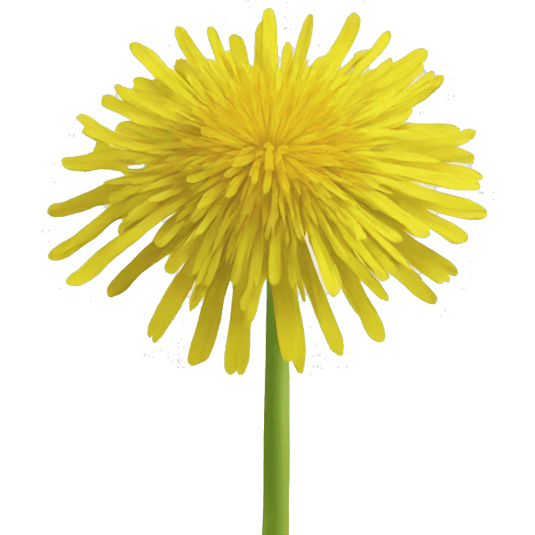 yellow dandelion emoji