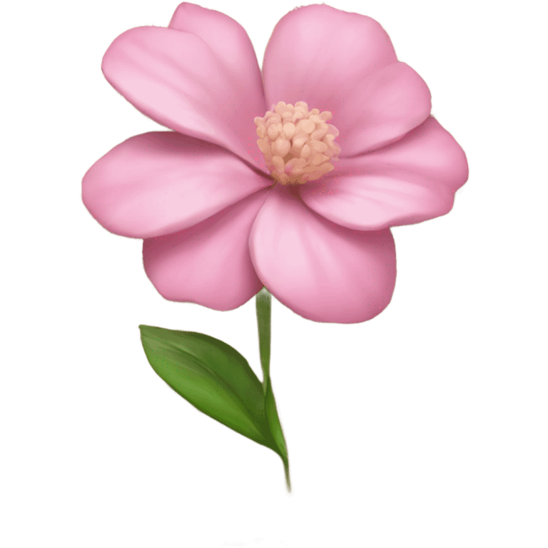 Realistic Open book with light pink flower inside emoji