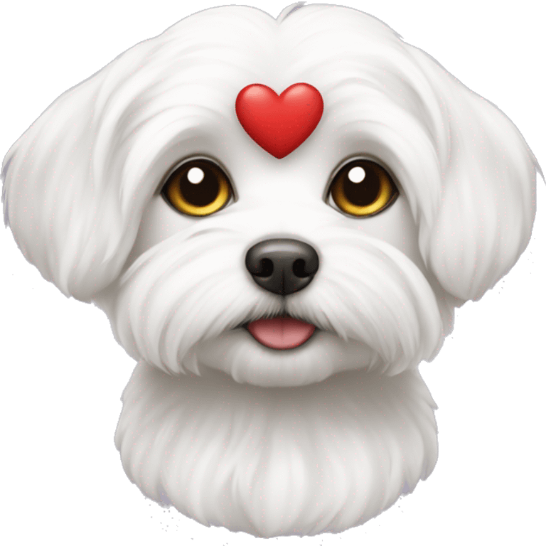 Maltese with heart emoji