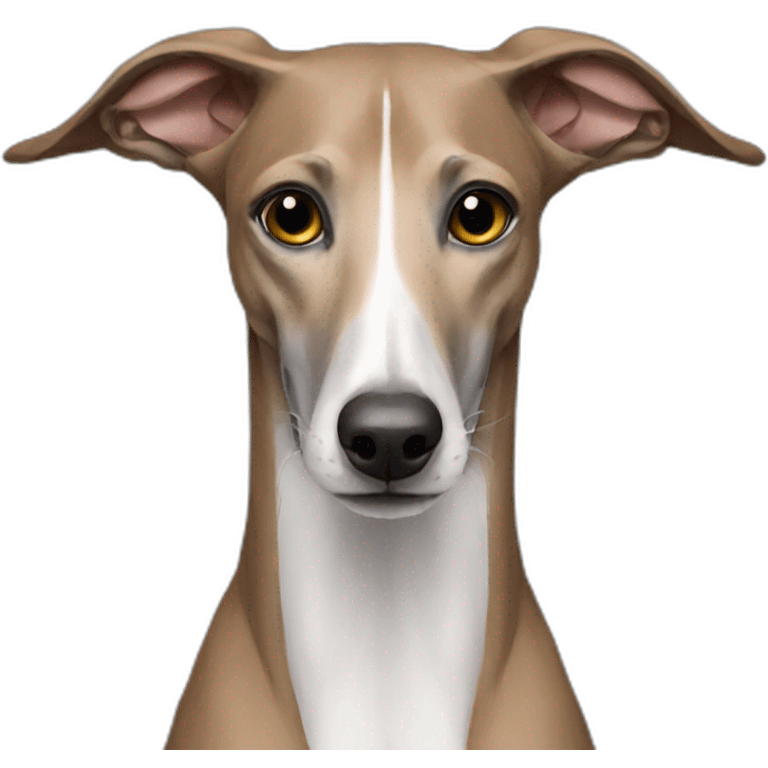 galgo emoji