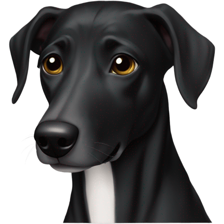 Greyhound lab mix black  emoji