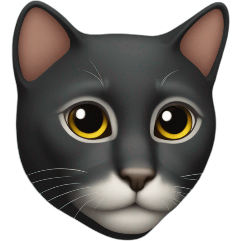 Gato negro emoji