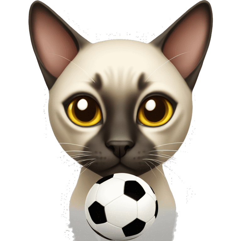 Siamese cat with a soccer ball emoji