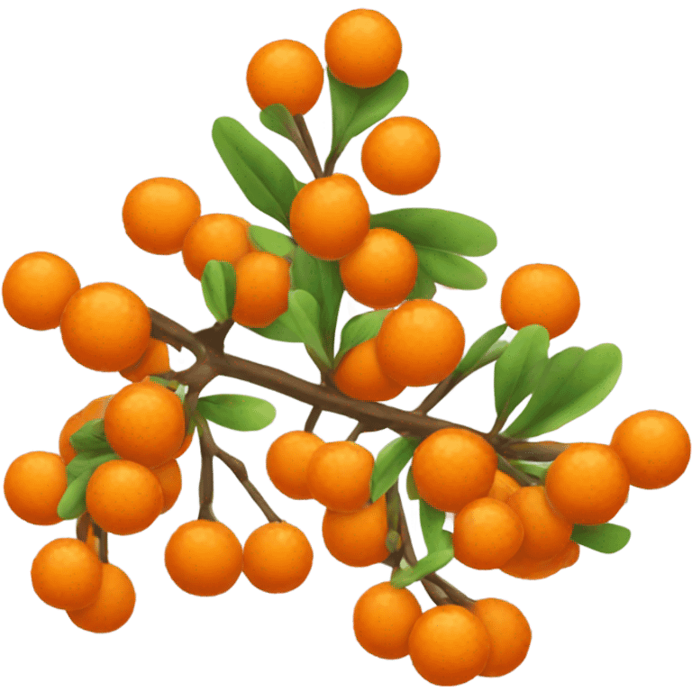 orange rowan berries branch emoji