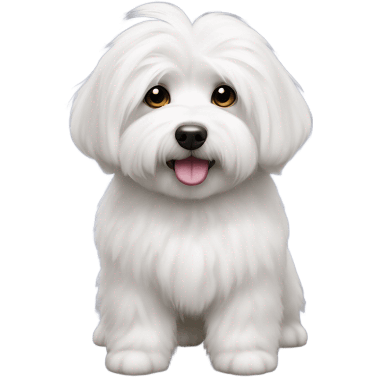 Coton de tulear dog emoji