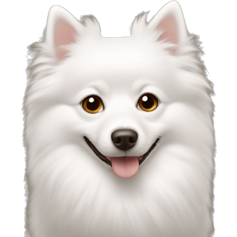 white spitz with brown eyes lies emoji