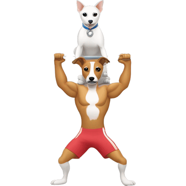 2 cats and 1 whippet doing Olympic weightlifting with a barbell emoji