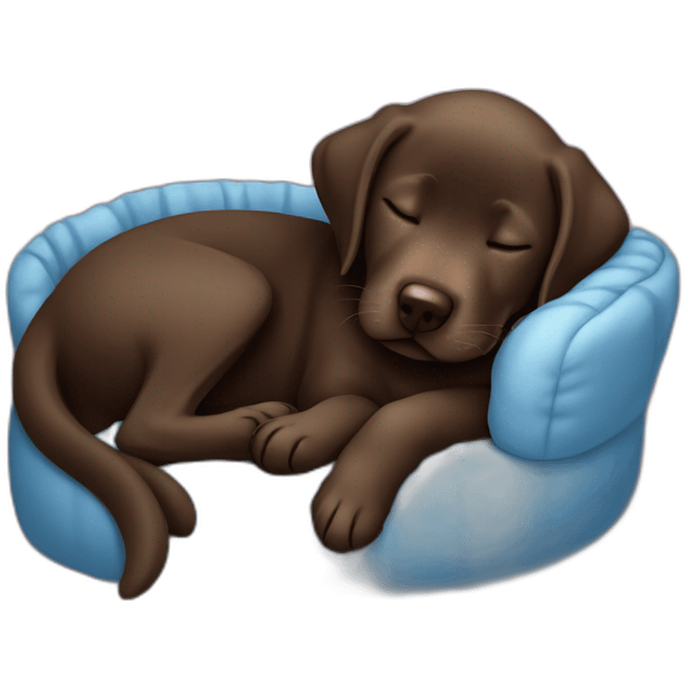 Chocolate labrador puppie sleeping in a blue bed emoji