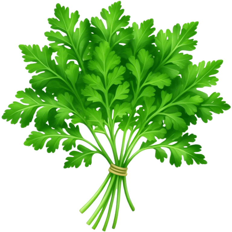 Cinematic Realistic Parsley Emoji, Fresh and vibrant, with bright green, frilly leaves that seem to shimmer with vitality. The plant exudes a sense of healthy growth and aromatic zest, inviting both beauty and flavor into any dish. Soft glowing outline, capturing the essence of freshness, health, and culinary delight in a sprig of parsley! emoji